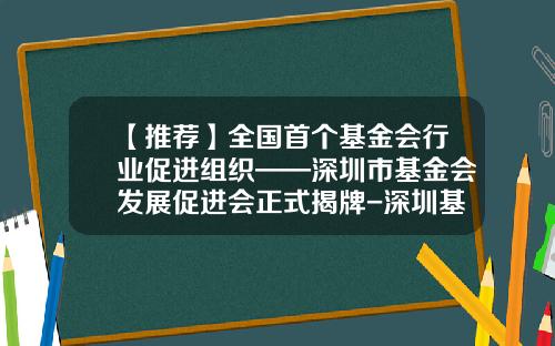 【推荐】全国首个基金会行业促进组织——深圳市基金会发展促进会正式揭牌-深圳基金会