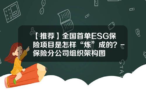 【推荐】全国首单ESG保险项目是怎样“炼”成的?-保险分公司组织架构图