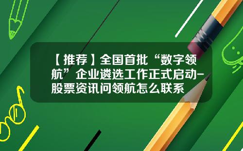 【推荐】全国首批“数字领航”企业遴选工作正式启动-股票资讯问领航怎么联系