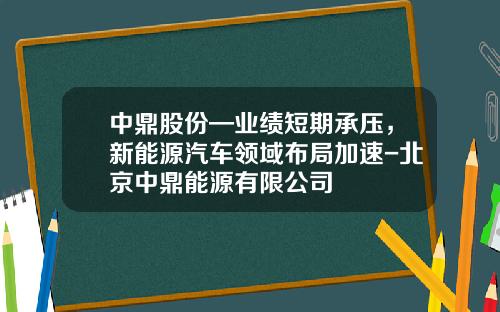 中鼎股份—业绩短期承压,新能源汽车领域布局加速-北京中鼎能源有限公司