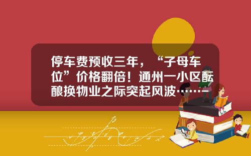 停车费预收三年，“子母车位”价格翻倍！通州一小区酝酿换物业之际突起风波……-车位物管费多少钱一年
