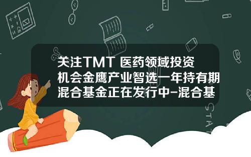 关注TMT+医药领域投资机会金鹰产业智选一年持有期混合基金正在发行中-混合基金包括什么