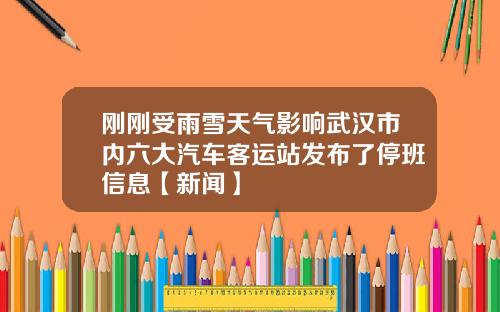 刚刚受雨雪天气影响武汉市内六大汽车客运站发布了停班信息【新闻】