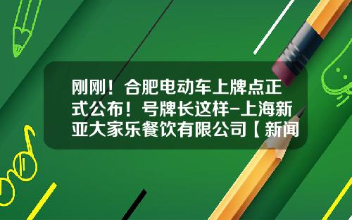 刚刚！合肥电动车上牌点正式公布！号牌长这样-上海新亚大家乐餐饮有限公司【新闻】
