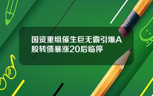 国资重组催生巨无霸引爆A股转债暴涨20后临停