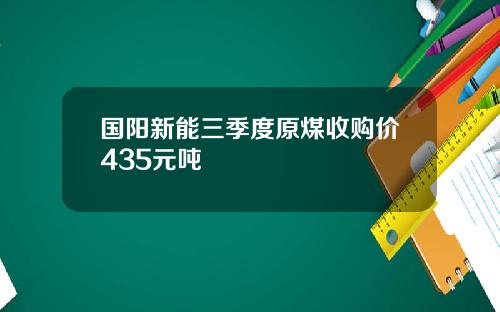 国阳新能三季度原煤收购价435元吨