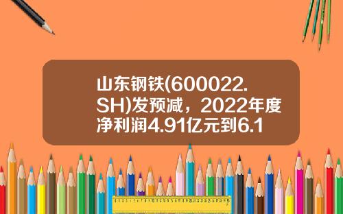 山东钢铁(600022.SH)发预减，2022年度净利润4.91亿元到6.14亿元，同比降低50%到60%-山东钢铁股票最新资讯