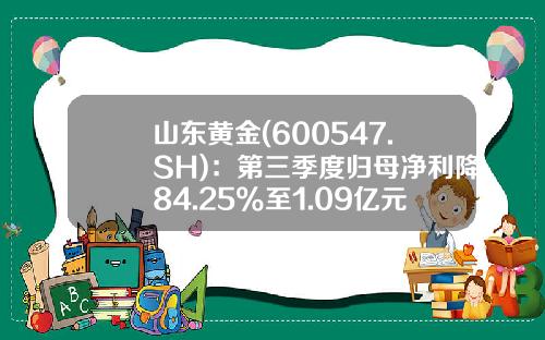 山东黄金(600547.SH)：第三季度归母净利降84.25%至1.09亿元-600547是什么公司