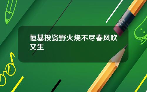 恒基投资野火烧不尽春风吹又生