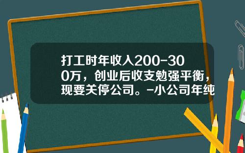 打工时年收入200-300万，创业后收支勉强平衡，现要关停公司。-小公司年纯收入一般多少