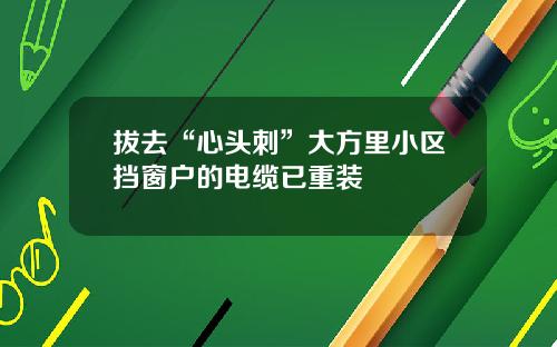 拔去“心头刺”大方里小区挡窗户的电缆已重装