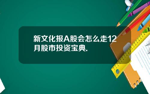 新文化报A股会怎么走12月股市投资宝典.