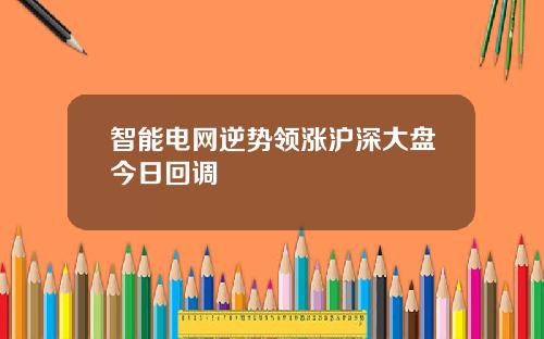智能电网逆势领涨沪深大盘今日回调