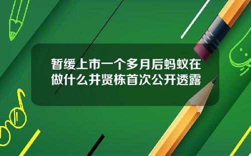 暂缓上市一个多月后蚂蚁在做什么井贤栋首次公开透露