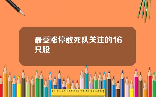 最受涨停敢死队关注的16只股