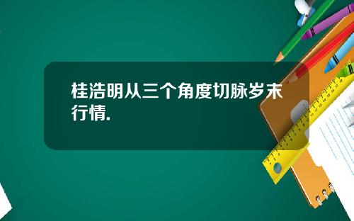 桂浩明从三个角度切脉岁末行情.