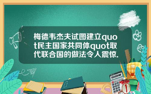 梅德韦杰夫试图建立quot民主国家共同体quot取代联合国的做法令人震惊.