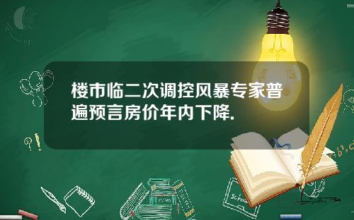 楼市临二次调控风暴专家普遍预言房价年内下降.