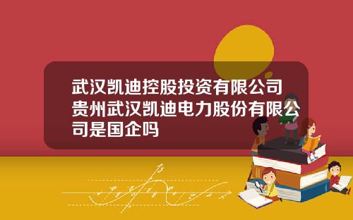 武汉凯迪控股投资有限公司贵州武汉凯迪电力股份有限公司是国企吗