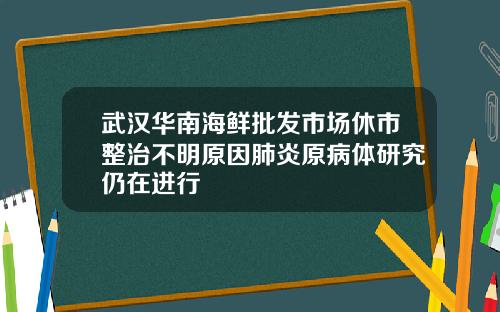 武汉华南海鲜批发市场休市整治不明原因肺炎原病体研究仍在进行