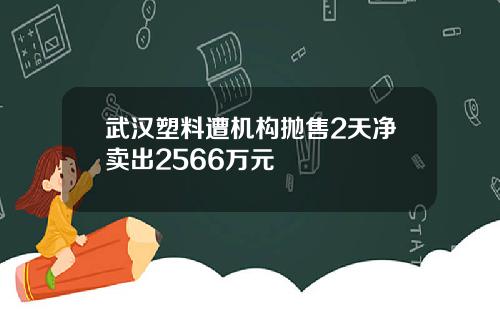 武汉塑料遭机构抛售2天净卖出2566万元