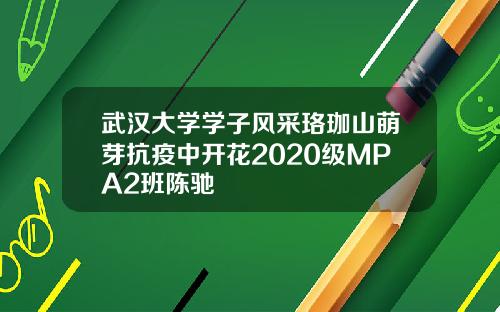 武汉大学学子风采珞珈山萌芽抗疫中开花2020级MPA2班陈驰