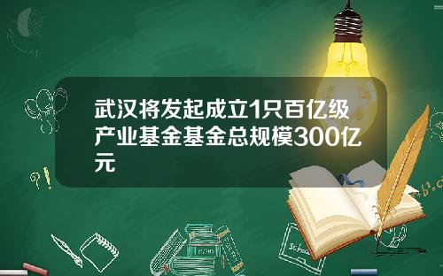 武汉将发起成立1只百亿级产业基金基金总规模300亿元