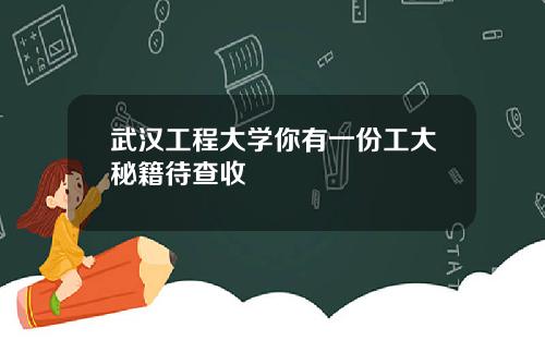 武汉工程大学你有一份工大秘籍待查收