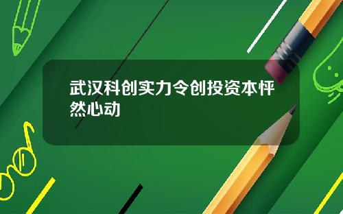 武汉科创实力令创投资本怦然心动