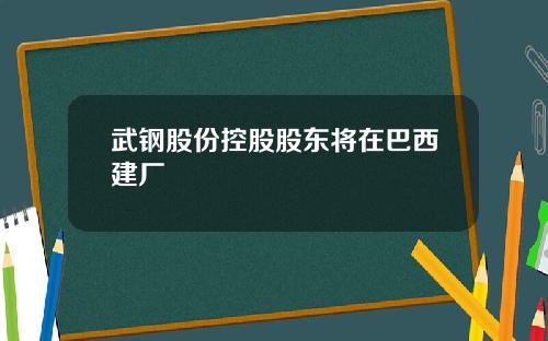 武钢股份控股股东将在巴西建厂