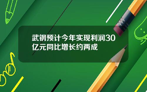 武钢预计今年实现利润30亿元同比增长约两成