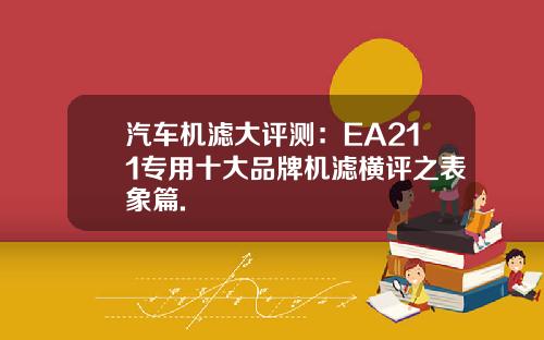 汽车机滤大评测:EA211专用十大品牌机滤横评之表象篇.