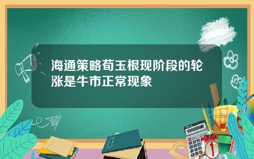 海通策略荀玉根现阶段的轮涨是牛市正常现象