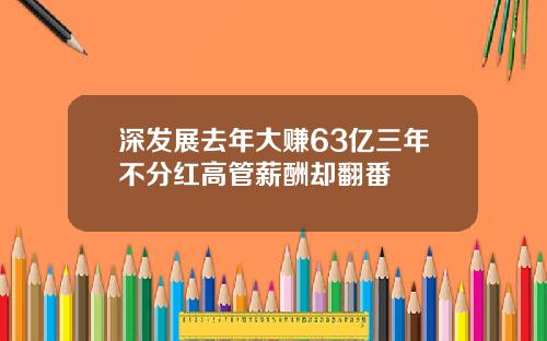 深发展去年大赚63亿三年不分红高管薪酬却翻番