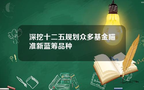 深挖十二五规划众多基金瞄准新蓝筹品种