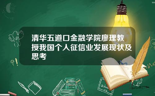清华五道口金融学院廖理教授我国个人征信业发展现状及思考
