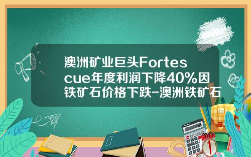 澳洲矿业巨头Fortescue年度利润下降40%因铁矿石价格下跌-澳洲铁矿石公司