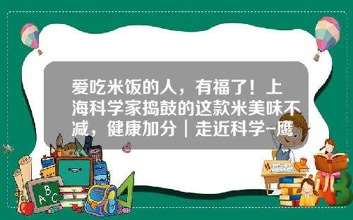 爱吃米饭的人，有福了！上海科学家捣鼓的这款米美味不减，健康加分︱走近科学-鹰嘴豆亩产多少