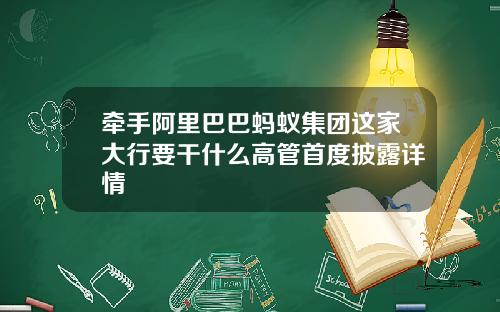 牵手阿里巴巴蚂蚁集团这家大行要干什么高管首度披露详情