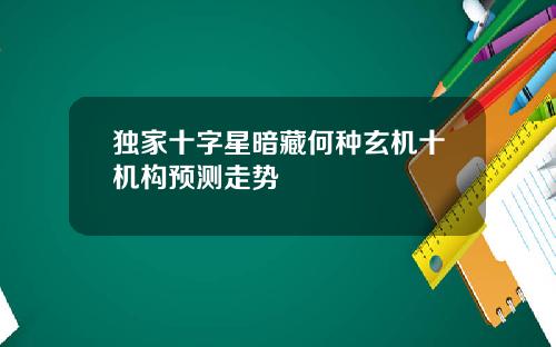 独家十字星暗藏何种玄机十机构预测走势