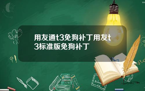 用友通t3免狗补丁用友t3标准版免狗补丁