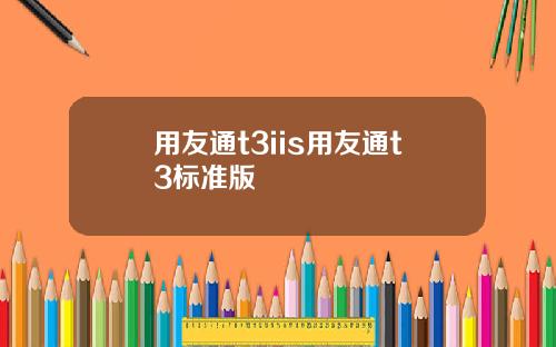 用友通t3iis用友通t3标准版