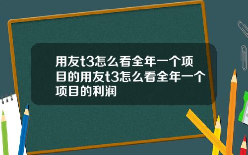 用友t3怎么看全年一个项目的用友t3怎么看全年一个项目的利润