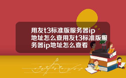 用友t3标准版服务器ip地址怎么查用友t3标准版服务器ip地址怎么查看