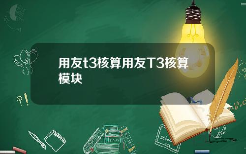 用友t3核算用友T3核算模块