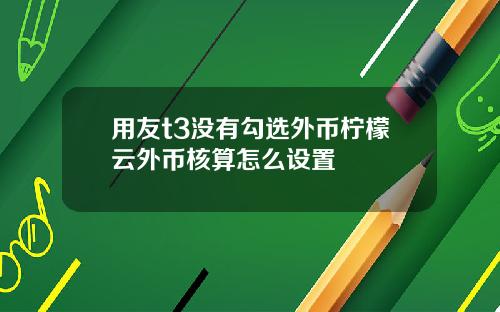 用友t3没有勾选外币柠檬云外币核算怎么设置