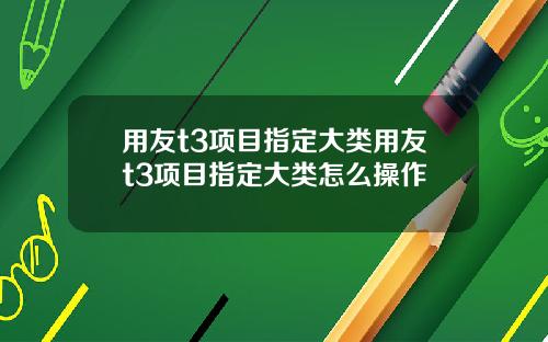用友t3项目指定大类用友t3项目指定大类怎么操作