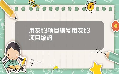 用友t3项目编号用友t3项目编码