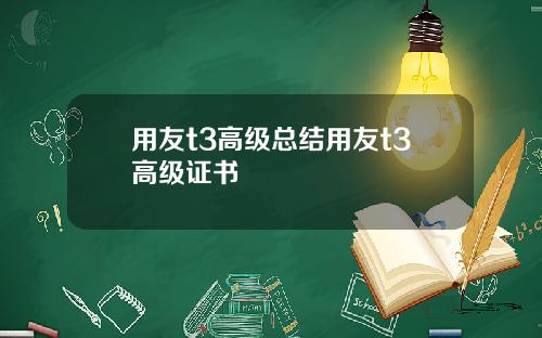 用友t3高级总结用友t3高级证书