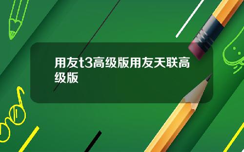 用友t3高级版用友天联高级版